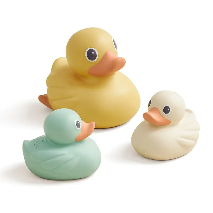 Itzy Ritzy Duck Family