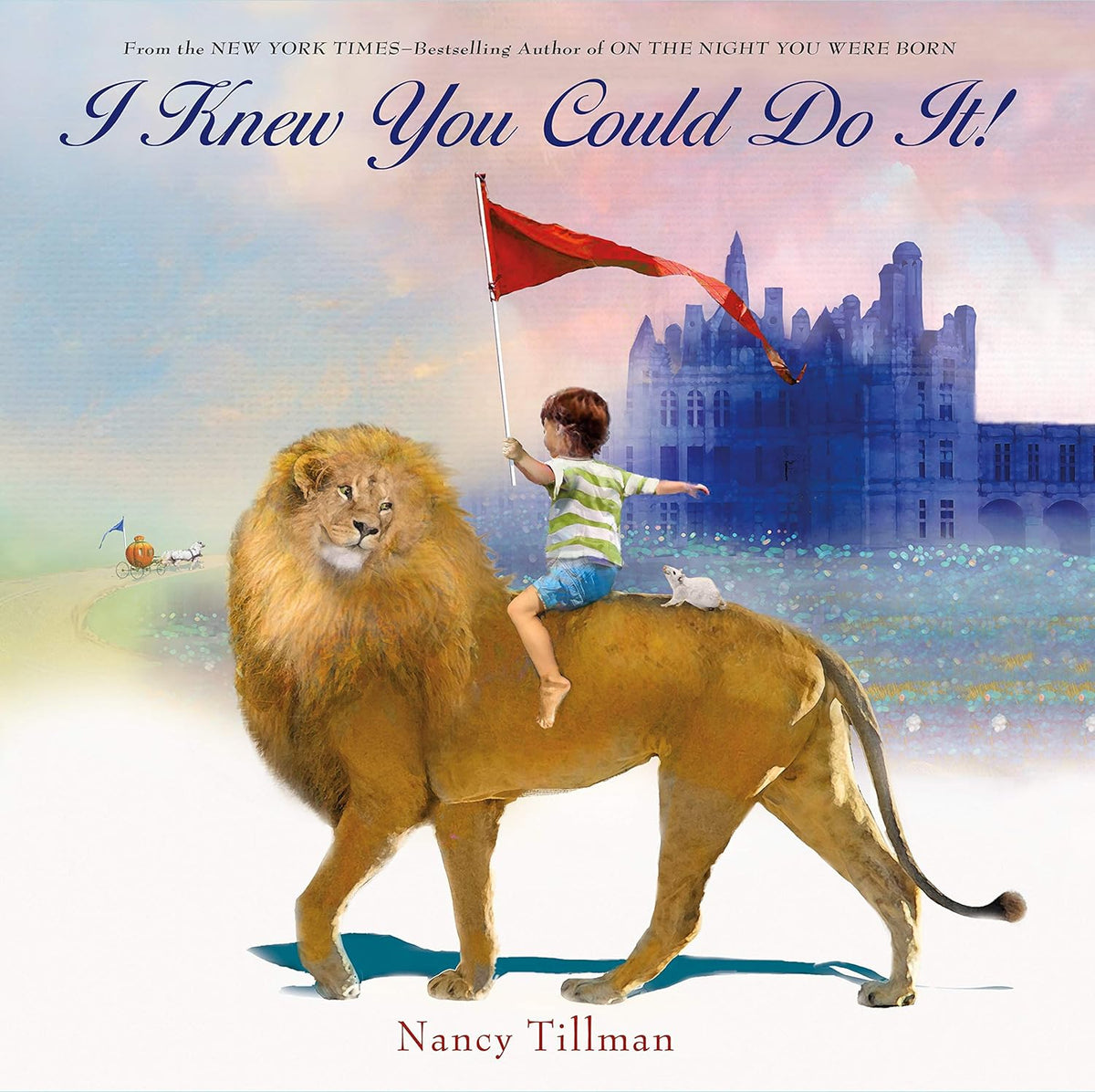 I Knew You Could Do It! by Nancy Tillman