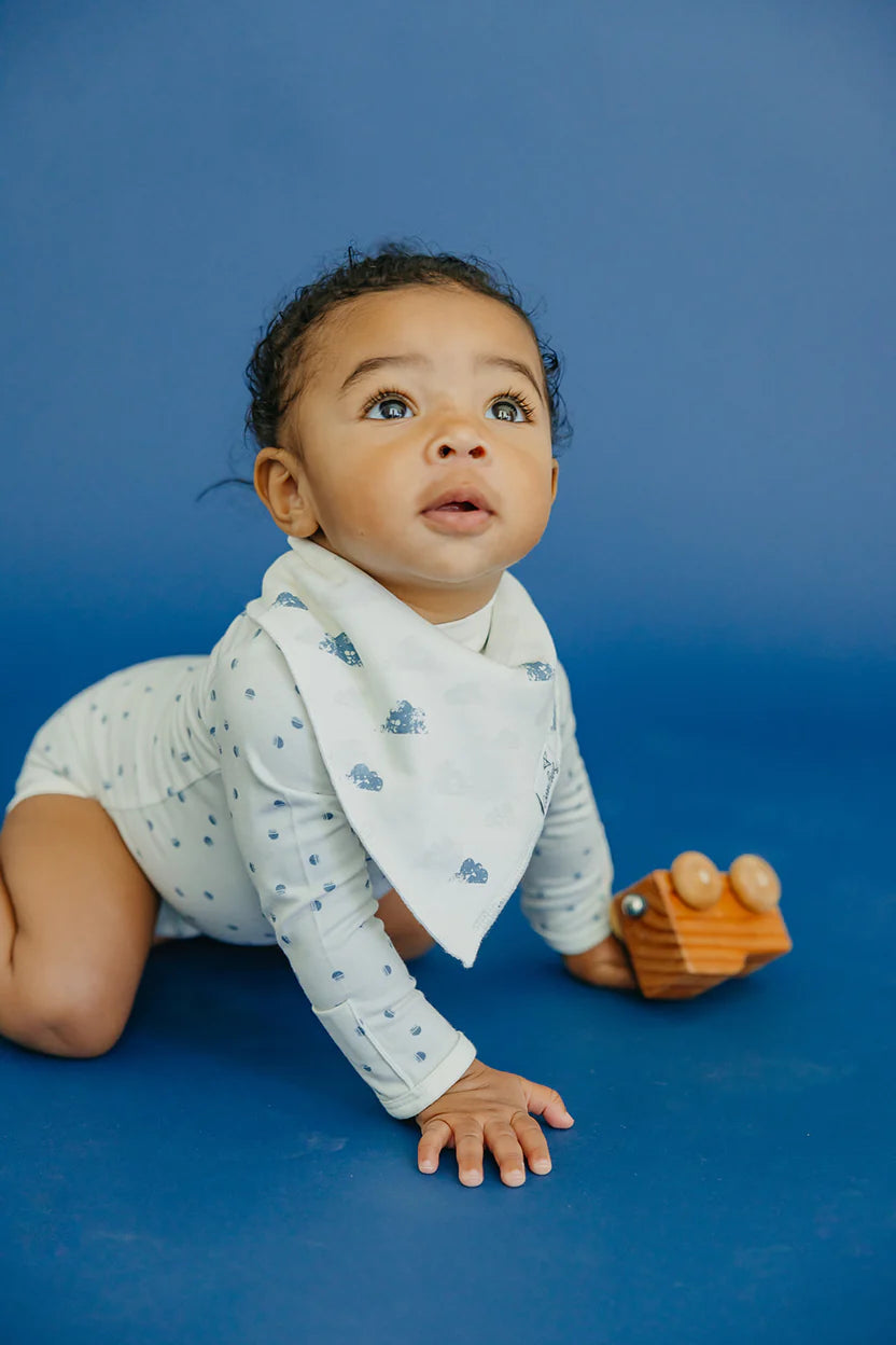 Copper Pearl Set of Four Bandana Bib Sol