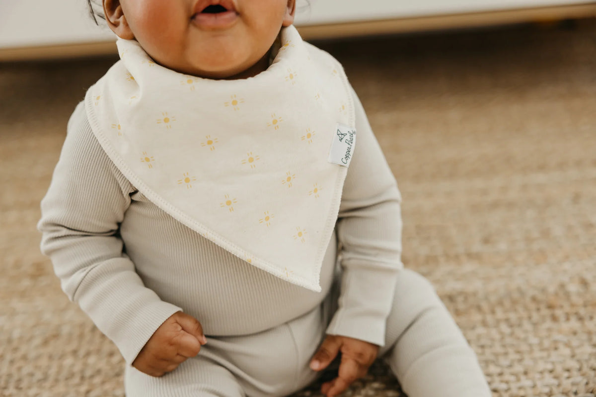 Copper Pearl Set of Four Bandana Bibs Santa Fe