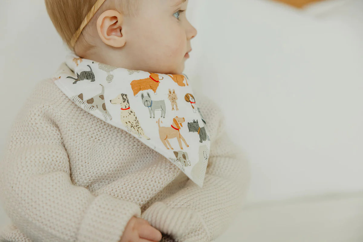 Copper Pearl set of four Bandana Bibs Rufus