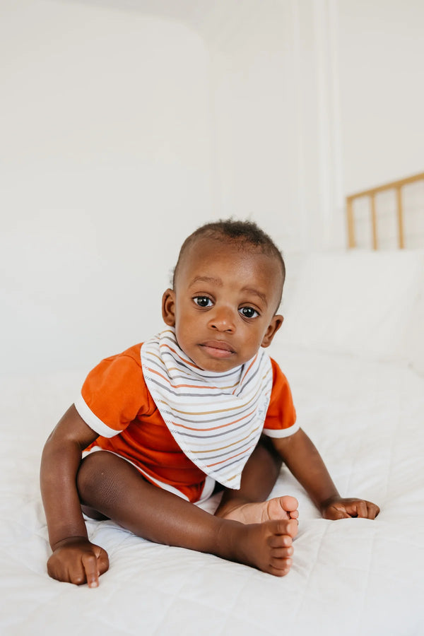 Copper Pearl Set of four Bandana Bibs  Swift