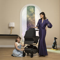 Maxi-Cosi Kindred Carriage Accessory