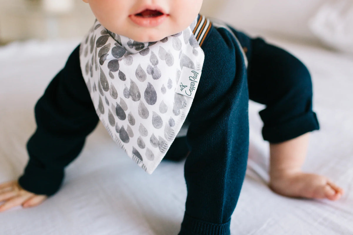 Copper Pearl Set of four Bandana Bibs Noah