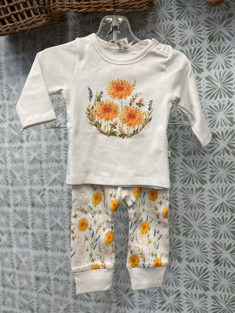 Imababywear T-Shirt and Harrem Pants