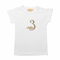 Tiny Victories 3rd Birthday Dinosaur T-shirt