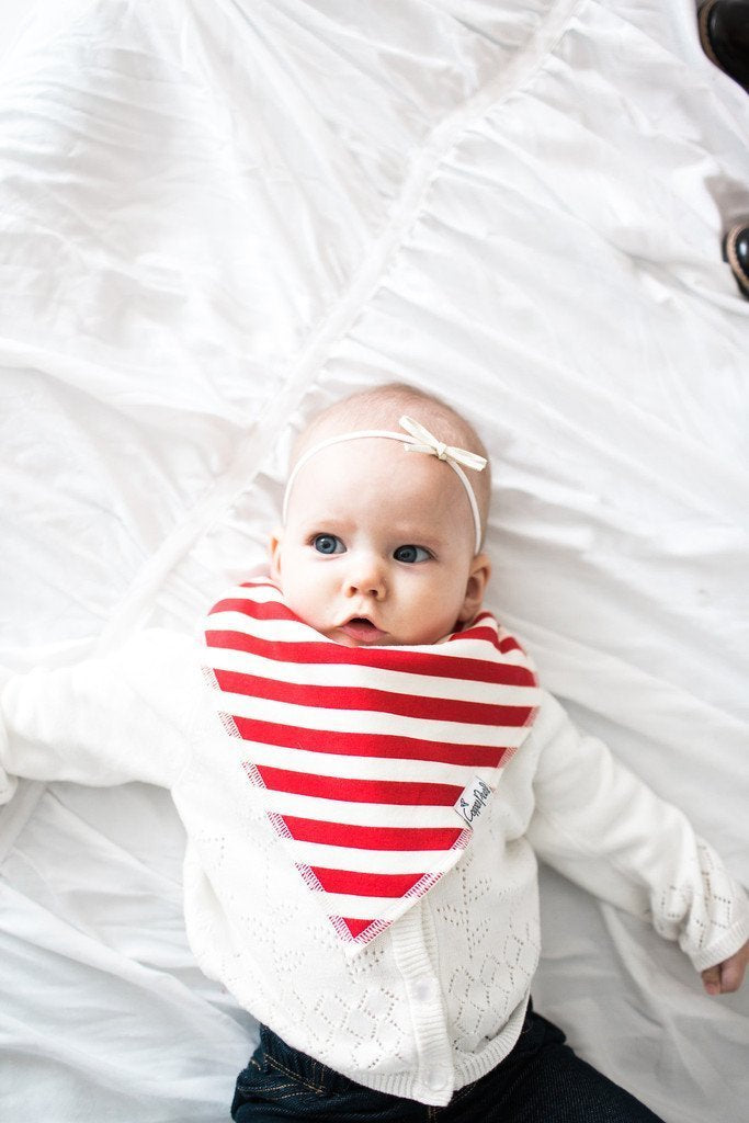 Baby Bandana Bibs - Alpine - Copper Pearl - 4