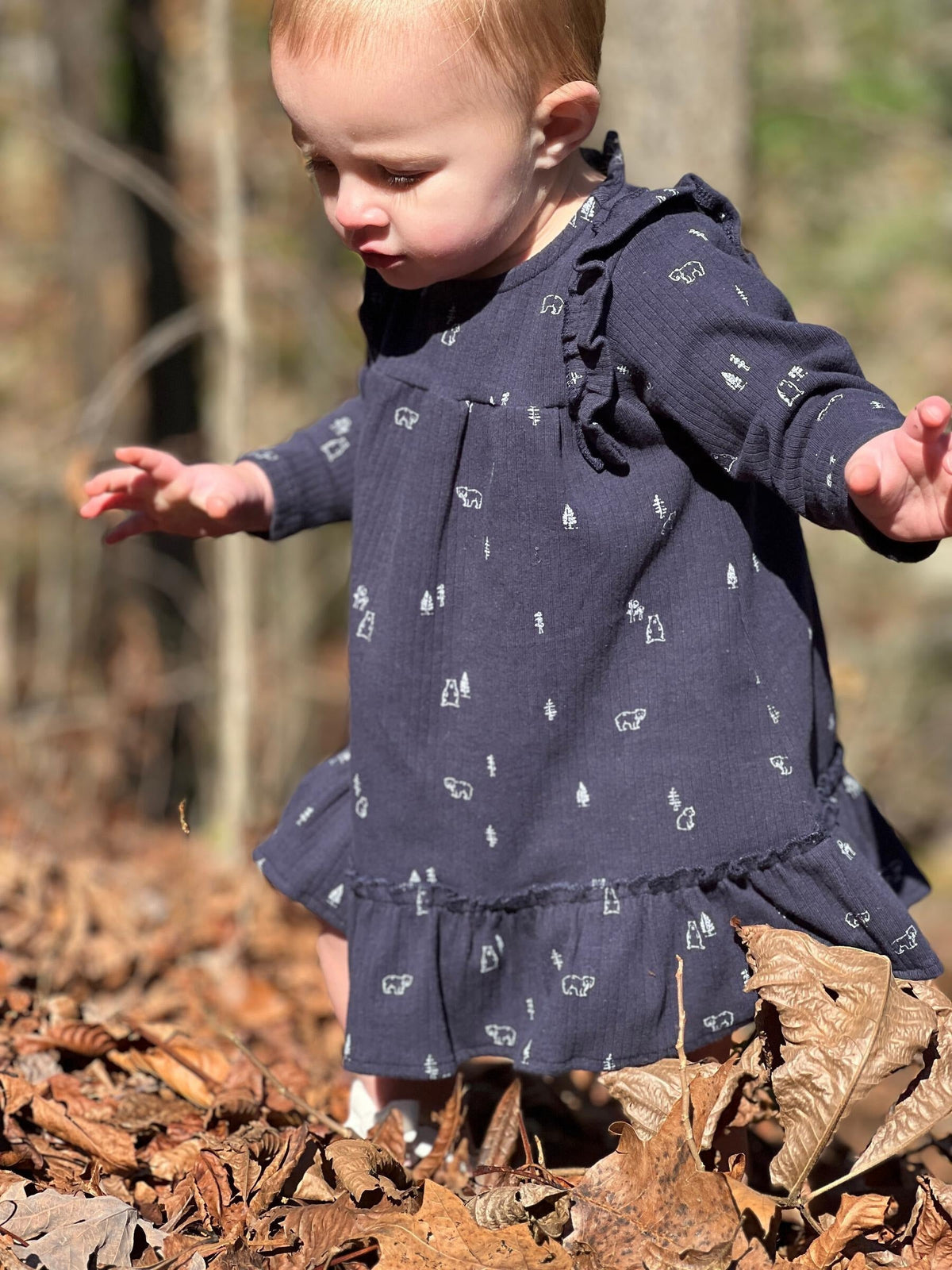 Ettie + H Aswen Dress | Navy Bears