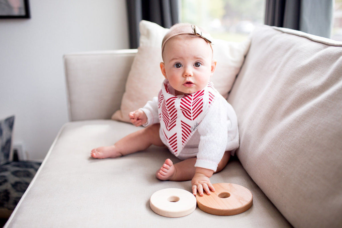 Baby Bandana Bibs - Indie - Copper Pearl - 12