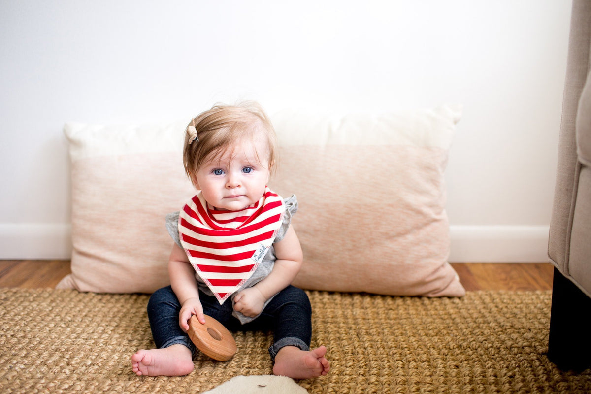 Baby Bandana Bibs - Alpine - Copper Pearl - 12