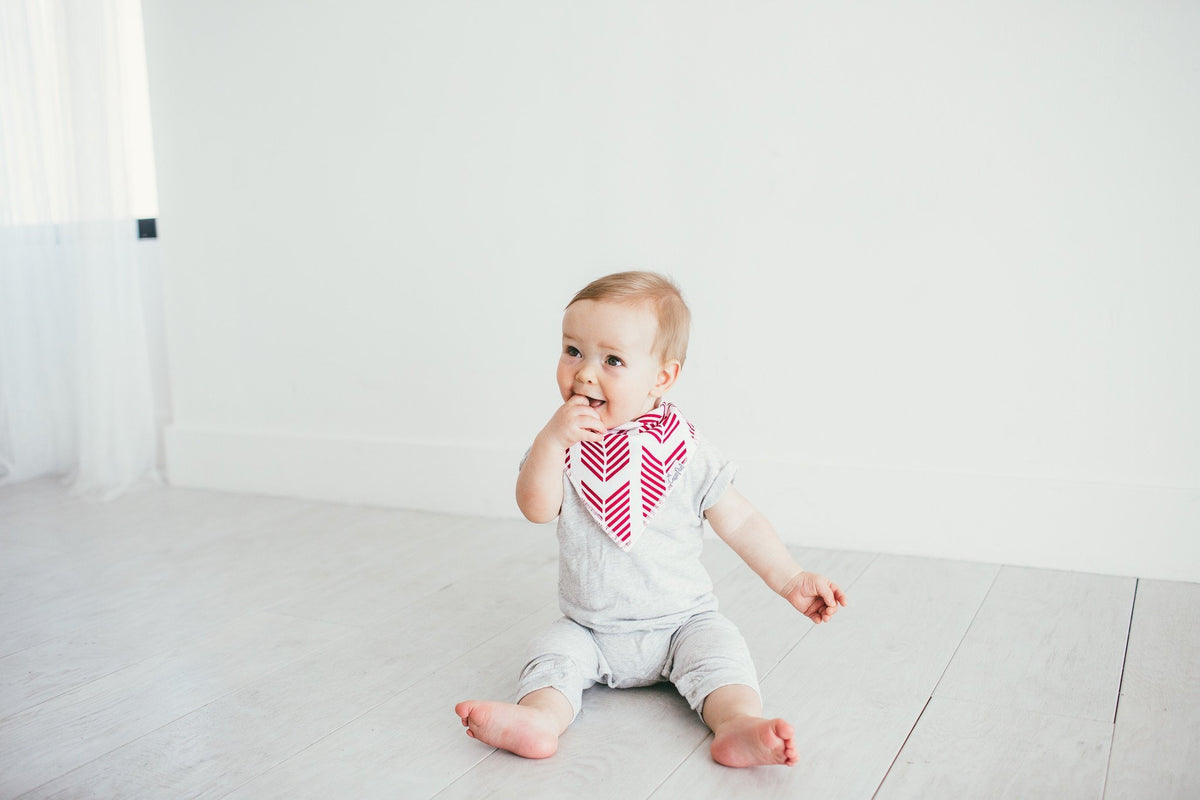 Baby Bandana Bibs - Indie - Copper Pearl - 5