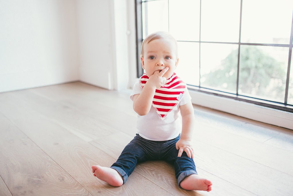 Baby Bandana Bibs - Alpine - Copper Pearl - 11