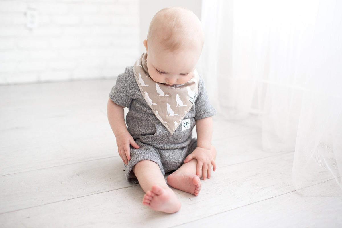 Copper Pearl Baby Bandana Bibs - Phoenix