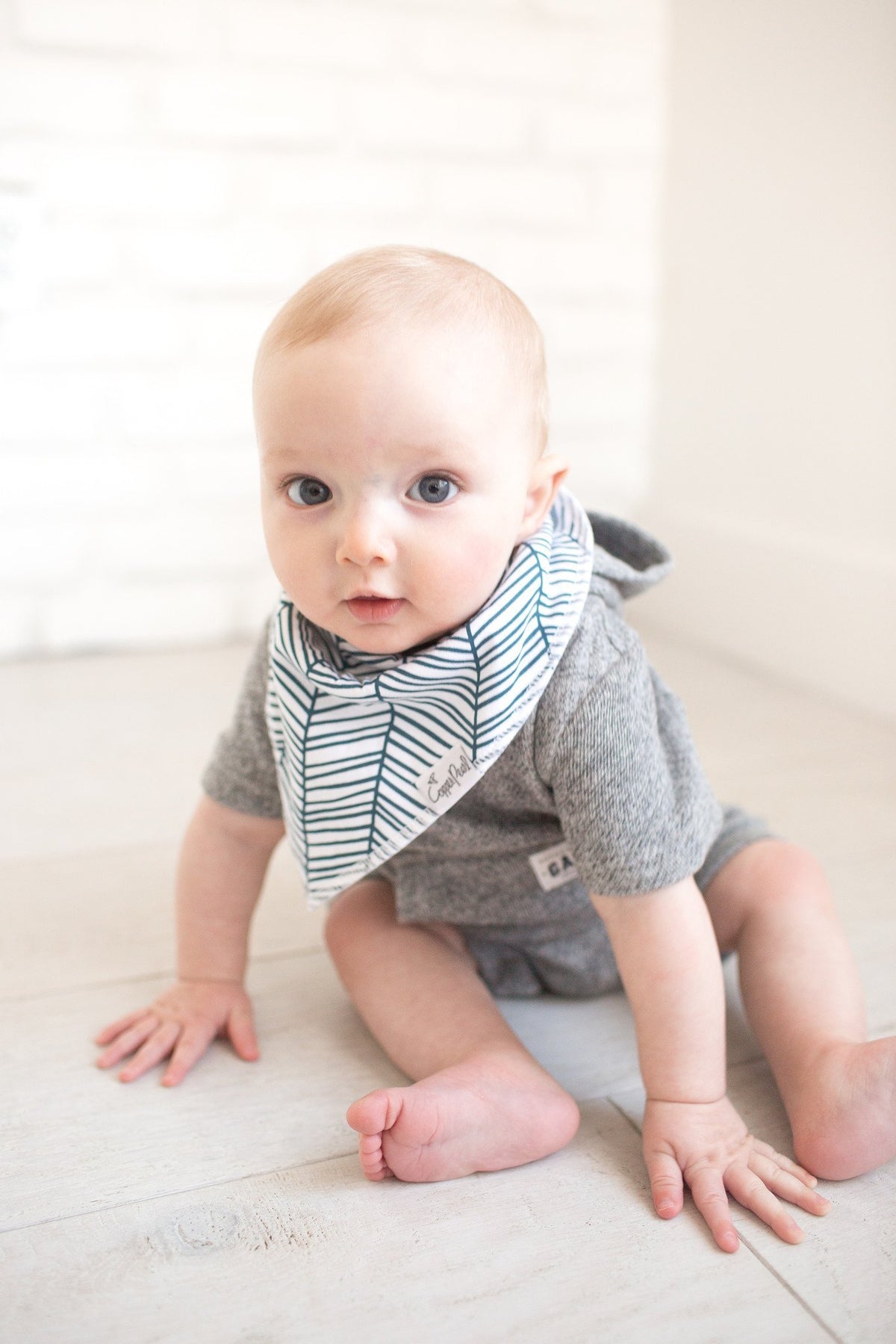 Copper Pearl Baby Bandana Bibs - Cruise