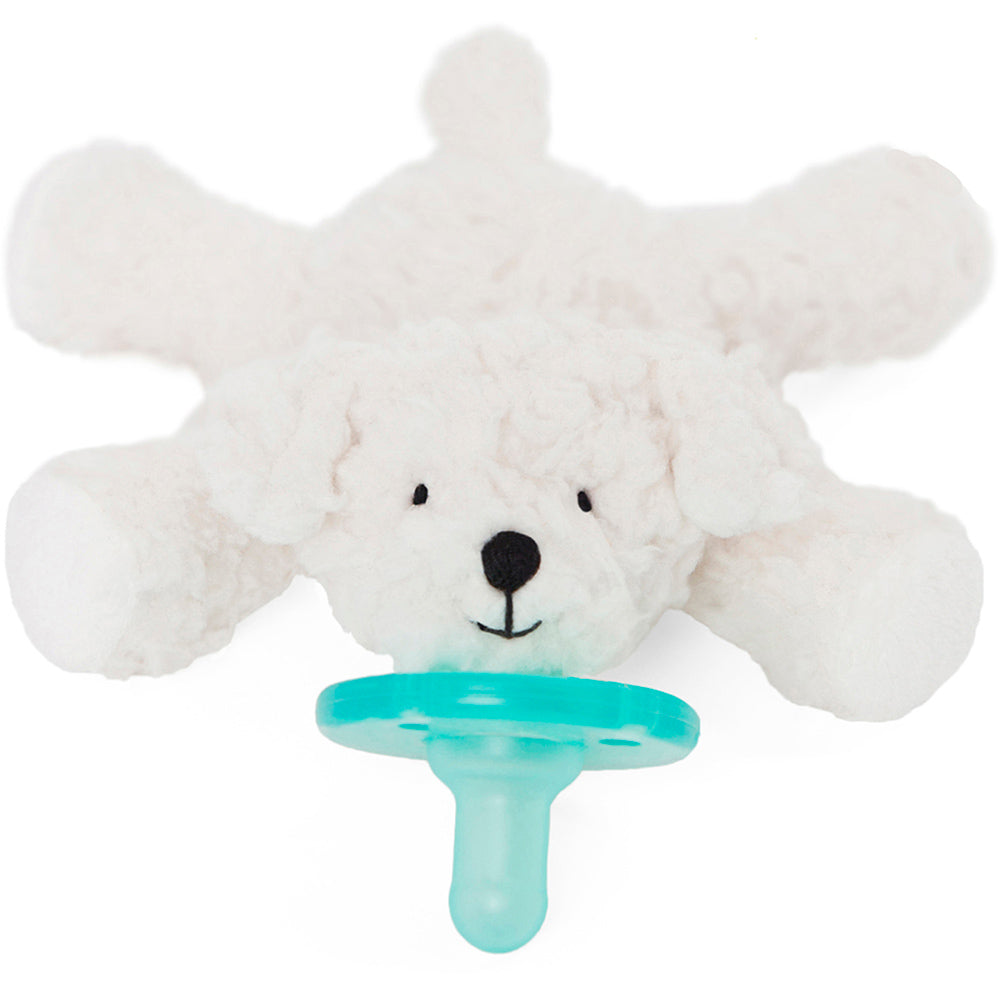 Wubbanub Pacifer Birthday Bichon