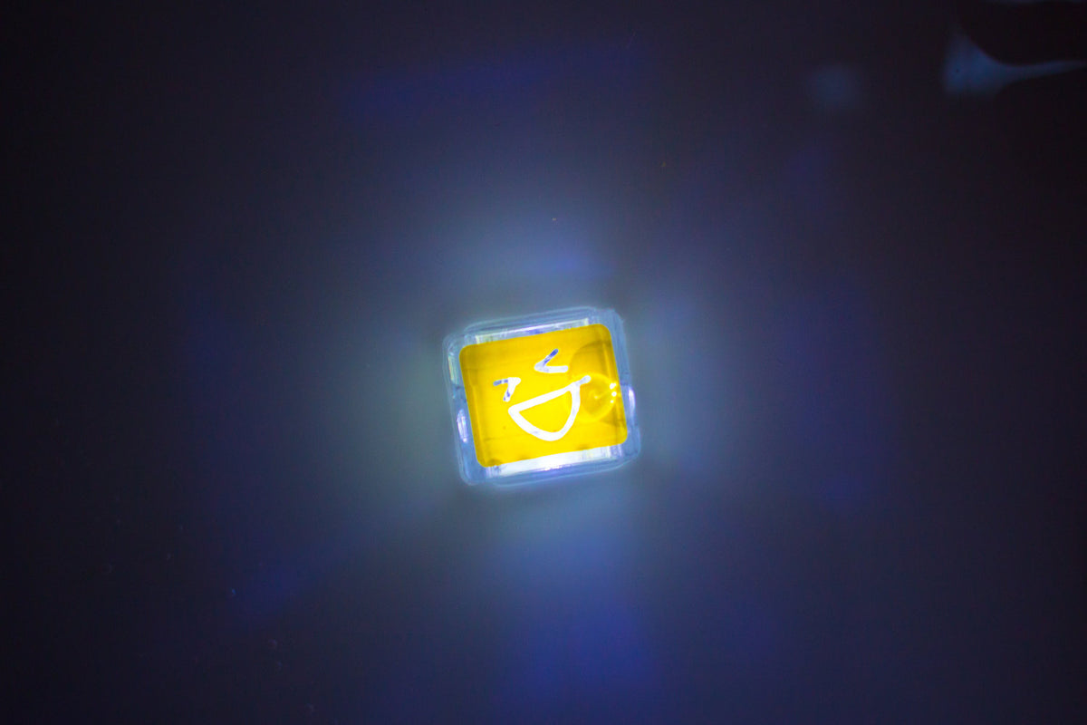 Glo Pals Light Up Cube - Alex (Yellow)