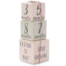 Mud Pie - Girl Milestone Blocks