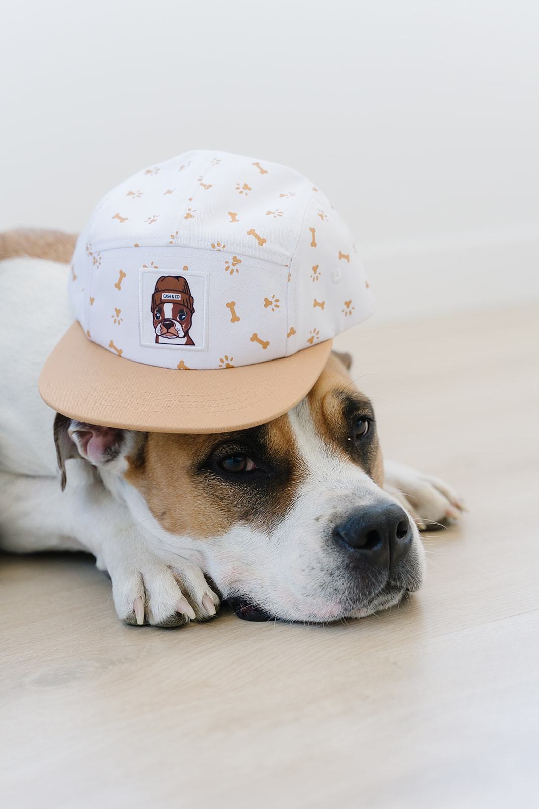 Cash & Co Baseball Hat - Sluggish Otis