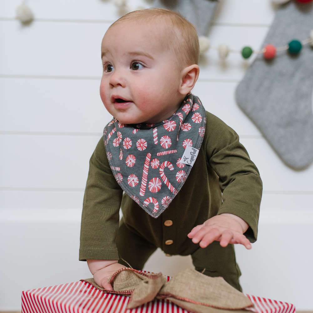 Copper Pearl Baby Bandana Bibs - Jolly