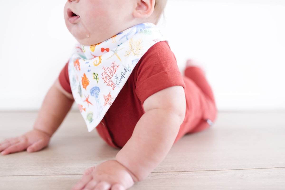 Copper Pearl Baby Bandana Bibs - Nautical