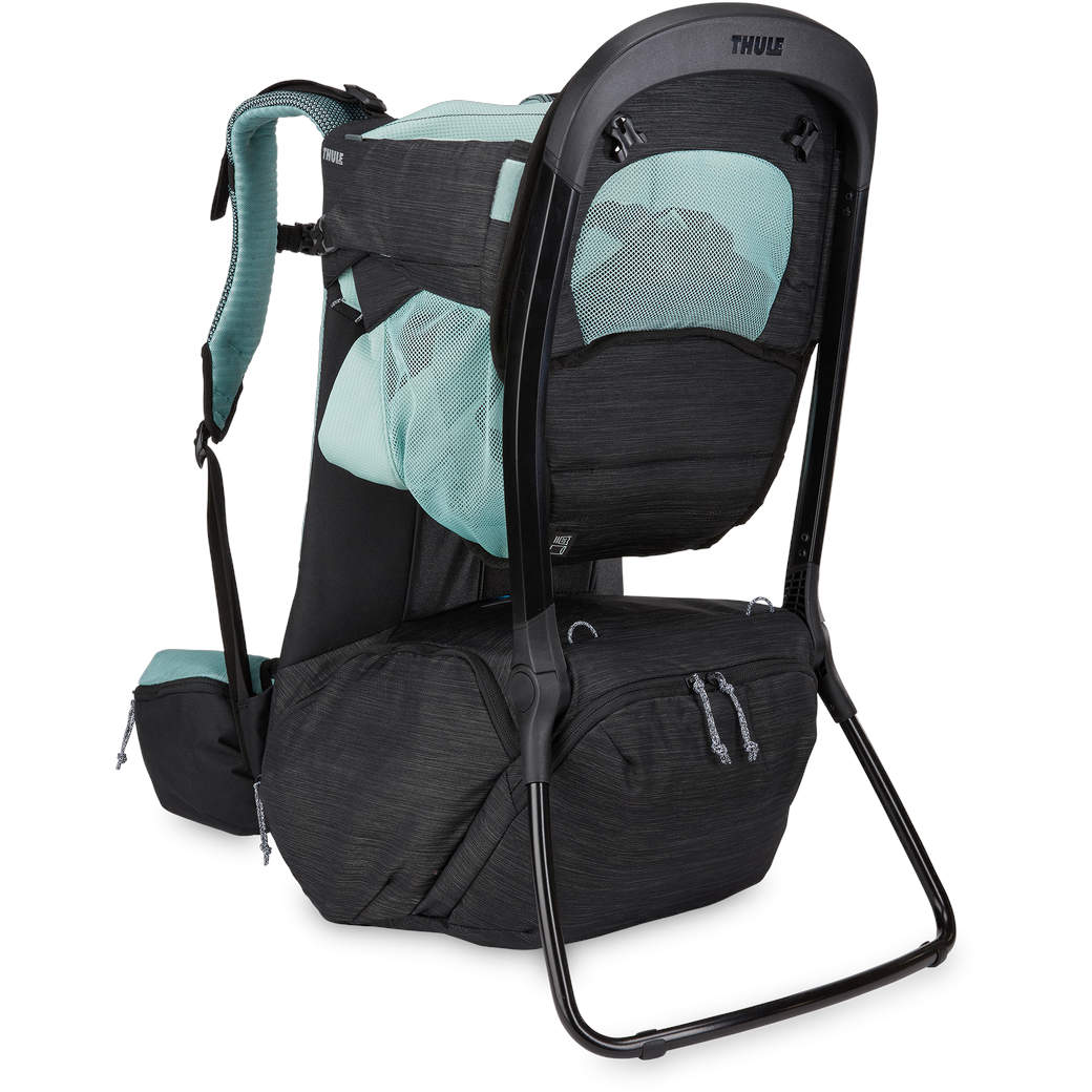 Thule Sapling Child Carrier